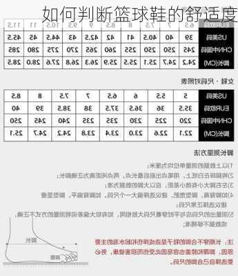 如何判断篮球鞋的舒适度