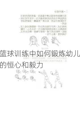 篮球训练中如何锻炼幼儿的恒心和毅力