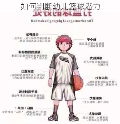 如何判断幼儿篮球潜力