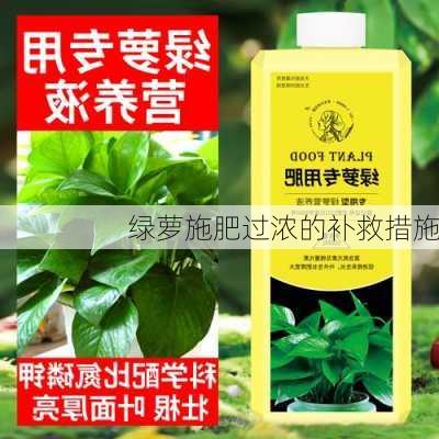 绿萝施肥过浓的补救措施
