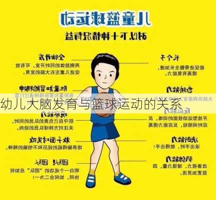 幼儿大脑发育与篮球运动的关系