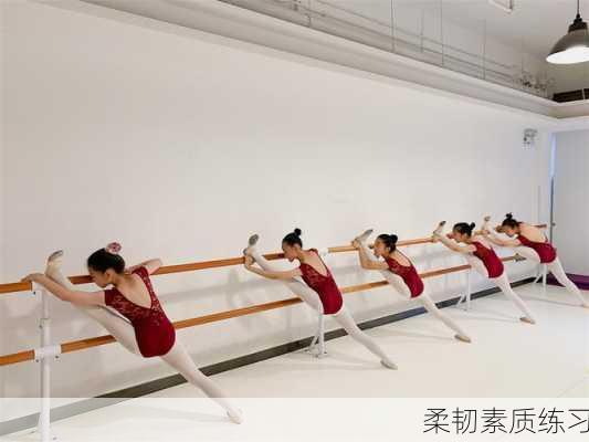 柔韧素质练习