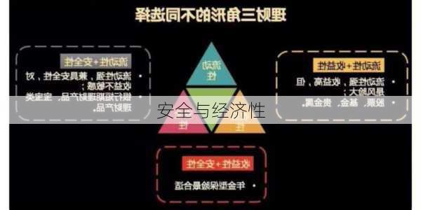 安全与经济性