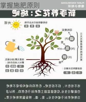 掌握施肥原则