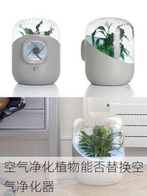 空气净化植物能否替换空气净化器
