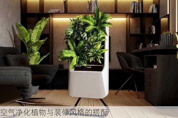 空气净化植物与装修风格的搭配