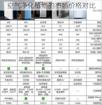 空气净化植物的市场价格对比