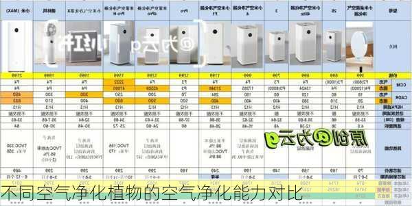 不同空气净化植物的空气净化能力对比