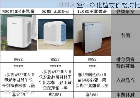 空气净化植物价格对比
