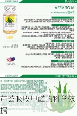芦荟吸收甲醛的科学依据