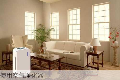 使用空气净化器