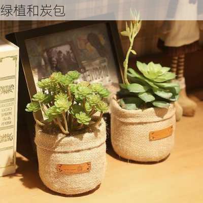 绿植和炭包