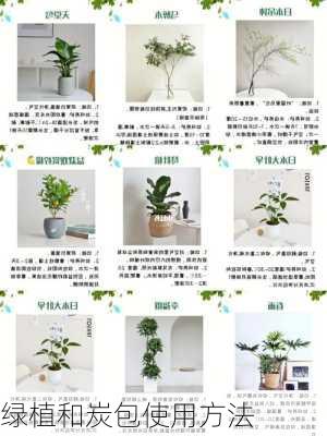 绿植和炭包使用方法