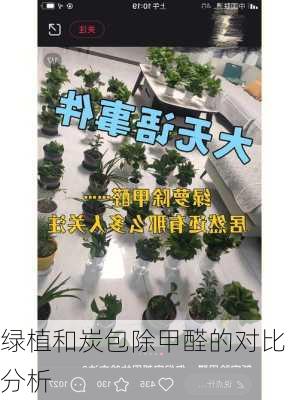 绿植和炭包除甲醛的对比分析