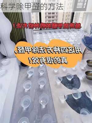 科学除甲醛的方法