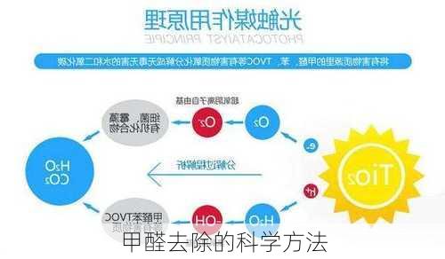甲醛去除的科学方法