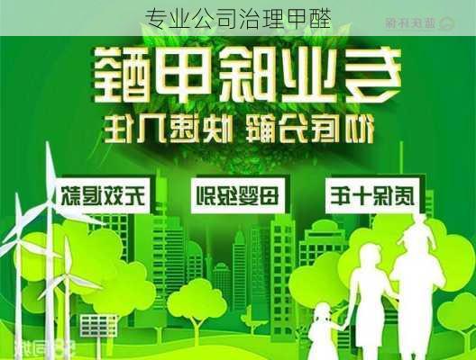 专业公司治理甲醛