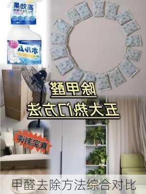 甲醛去除方法综合对比