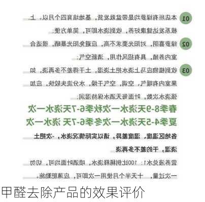 甲醛去除产品的效果评价