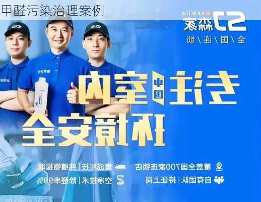甲醛污染治理案例