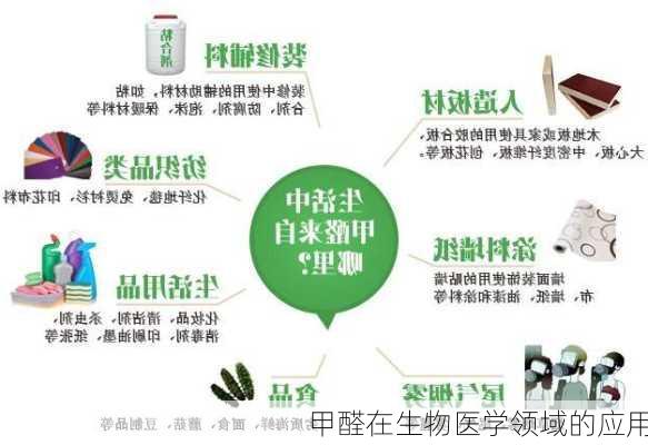 甲醛在生物医学领域的应用
