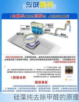 硅藻纯去除甲醛的原理