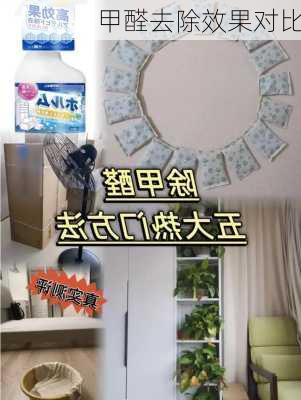 甲醛去除效果对比