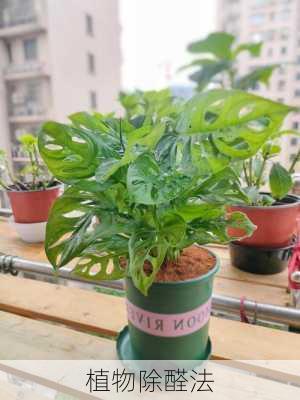 植物除醛法