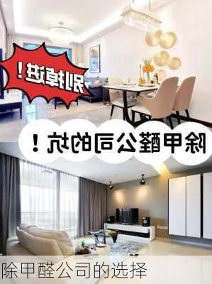 除甲醛公司的选择
