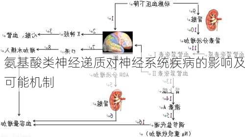 氨基酸类神经递质对神经系统疾病的影响及可能机制