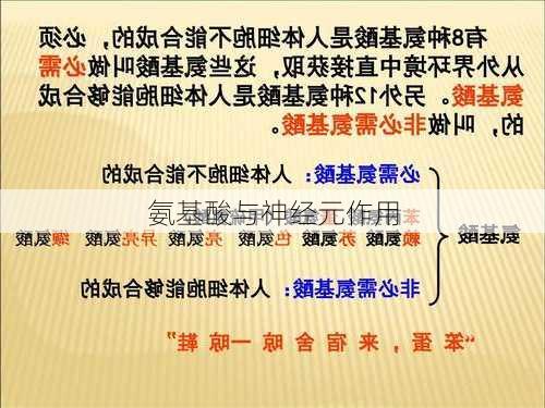 氨基酸与神经元作用