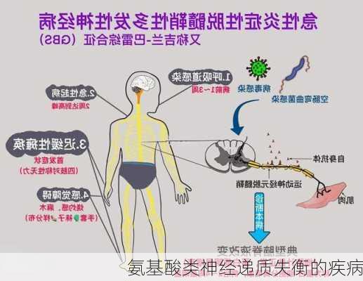 氨基酸类神经递质失衡的疾病