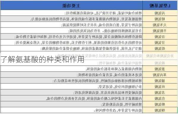 了解氨基酸的种类和作用