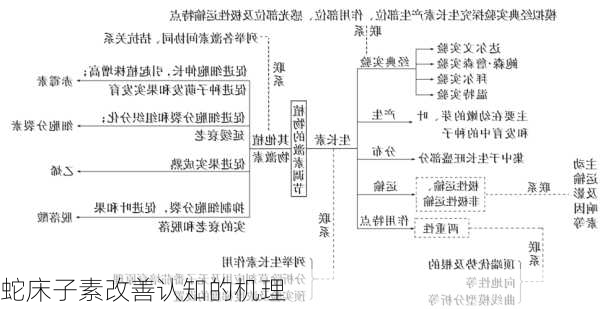 蛇床子素改善认知的机理
