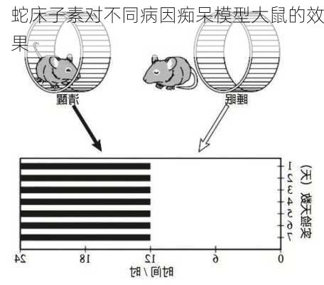 蛇床子素对不同病因痴呆模型大鼠的效果
