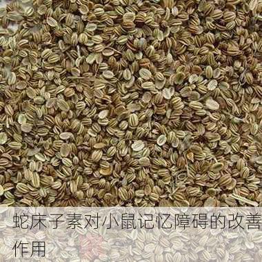 蛇床子素对小鼠记忆障碍的改善作用