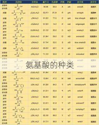 氨基酸的种类