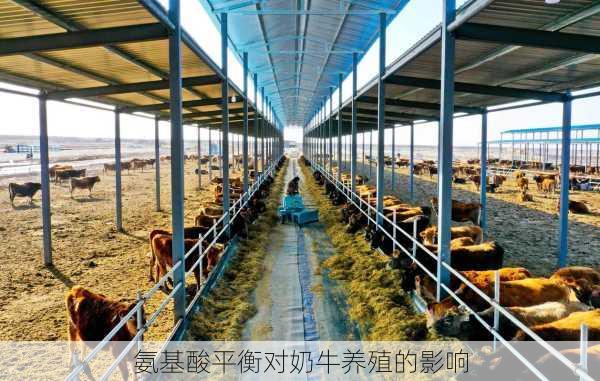 氨基酸平衡对奶牛养殖的影响