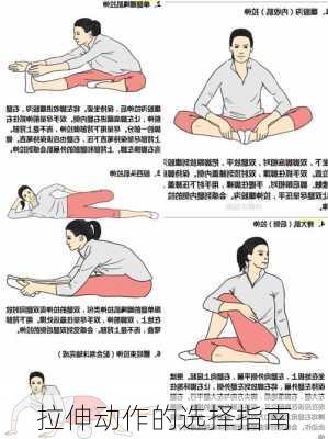 拉伸动作的选择指南