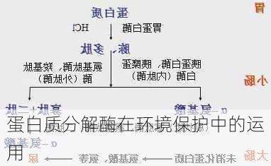 蛋白质分解酶在环境保护中的运用