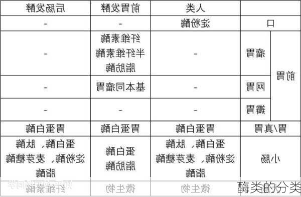 酶类的分类