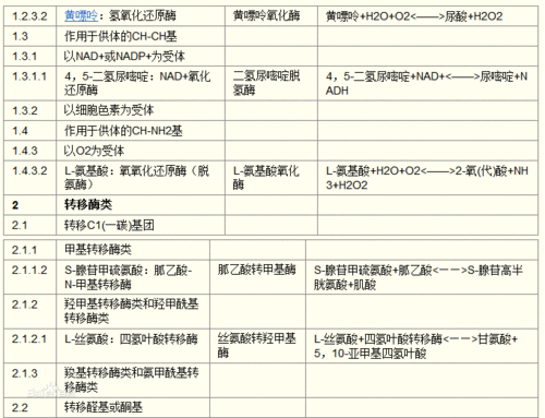 蛋白分解酶类的分类和作用