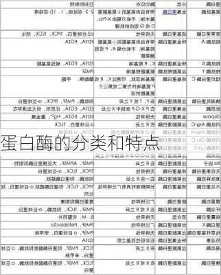 蛋白酶的分类和特点