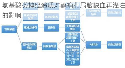氨基酸类神经递质对癫痫和局脑缺血再灌注的影响