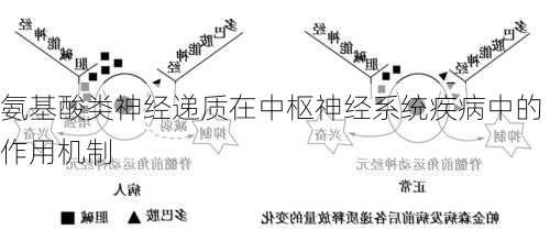 氨基酸类神经递质在中枢神经系统疾病中的作用机制