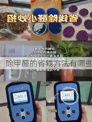 除甲醛的省钱方法有哪些