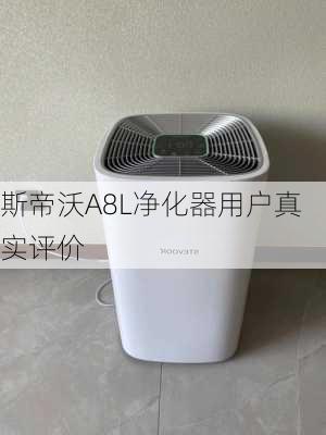 斯帝沃A8L净化器用户真实评价