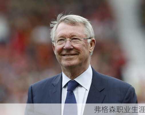 弗格森职业生涯