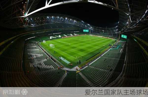 爱尔兰国家队主场球场