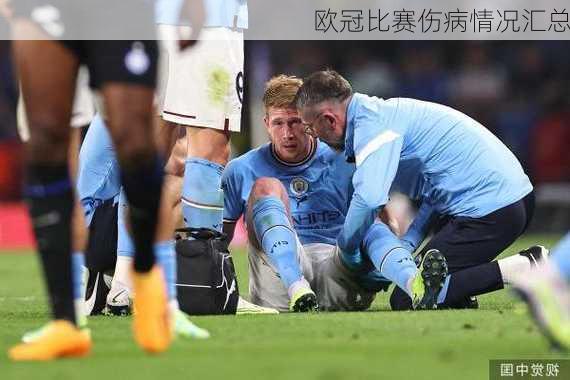 欧冠比赛伤病情况汇总